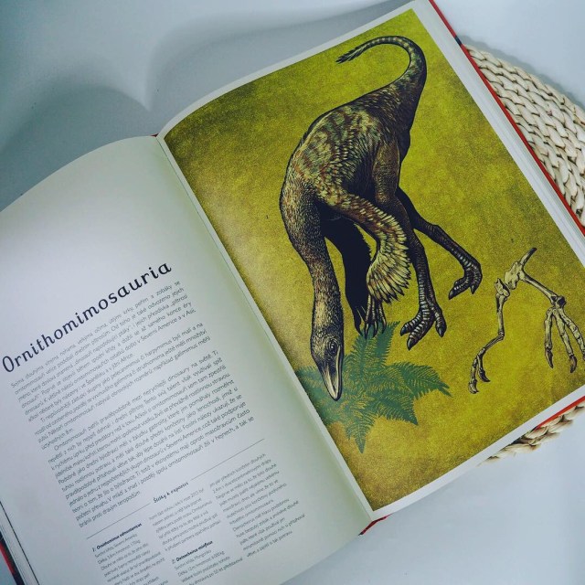 Dinosaurium - rec2.JPG